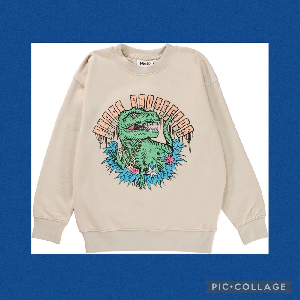Molo Memphis Embroidered Dinosaur Peace Protector Sweatshirt